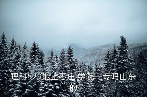 理科529能上枣庄 学院一专吗山东的