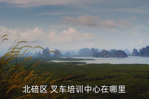 重庆职业学校 叉车,重庆巴蜀职业学校叉车