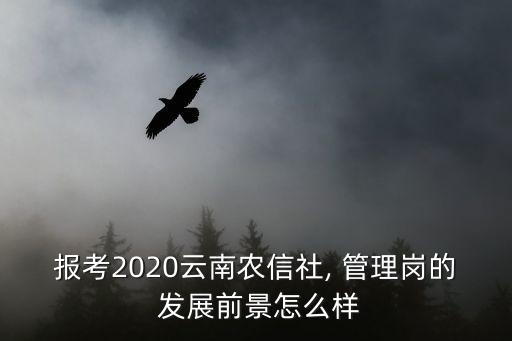 报考2020云南农信社, 管理岗的 发展前景怎么样