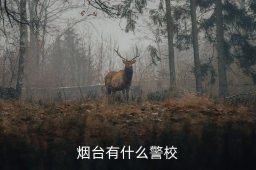 烟台有什么警校