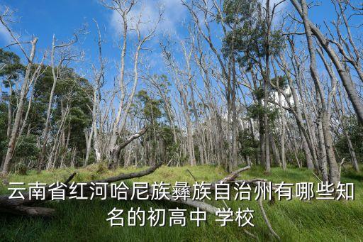 弥勒什么职业学校好,弥勒中专职业学校有哪些