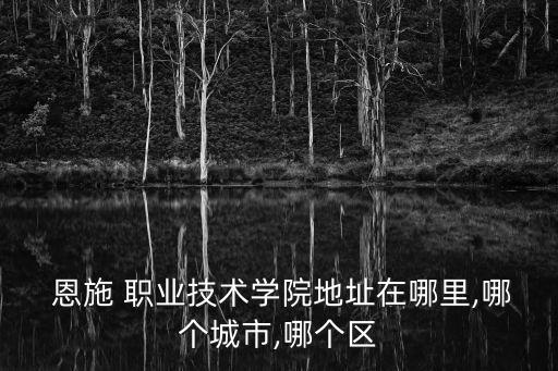  恩施 职业技术学院地址在哪里,哪个城市,哪个区