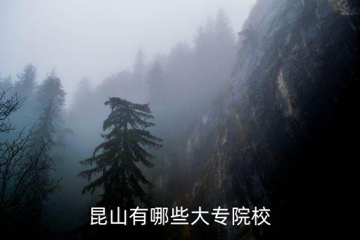 昆山有哪些大专院校