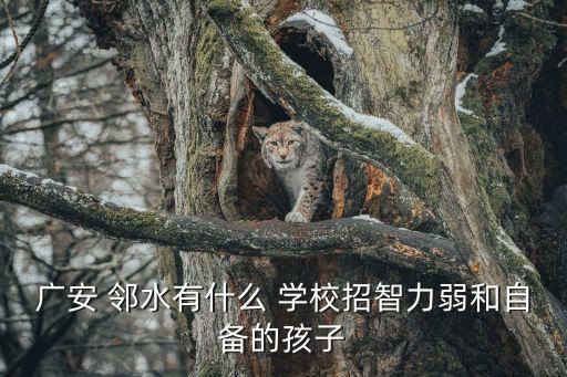 广安 邻水有什么 学校招智力弱和自备的孩子