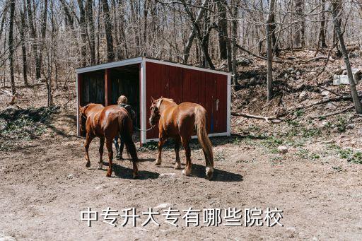 陕西省职业教育中心
