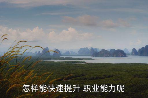 怎样能快速提升 职业能力呢