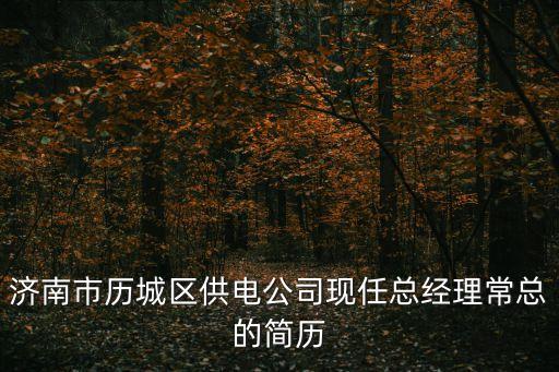 济南市历城区供电公司现任总经理常总的简历