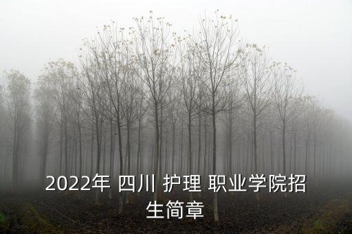 2022年 四川 护理 职业学院招生简章