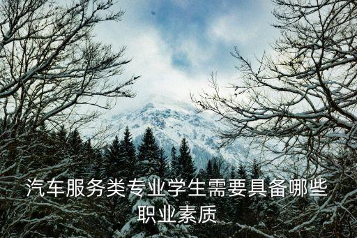 汽车职业能力,新能源汽车职业能力