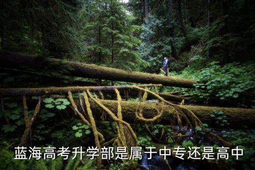 山东蓝海职业学校 待遇