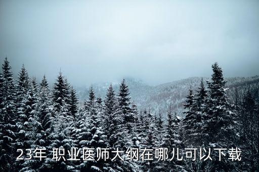 23年 职业医师大纲在哪儿可以下载