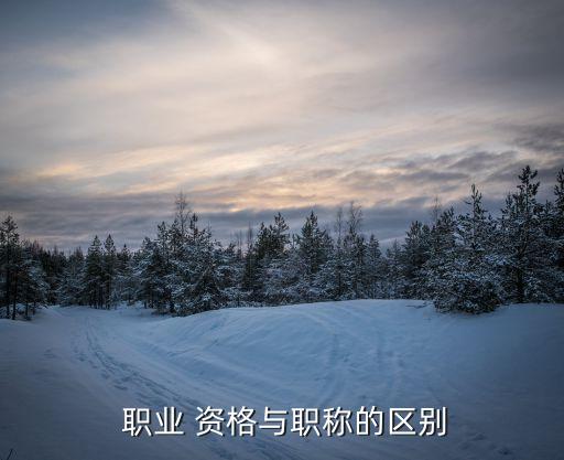  职业 资格与职称的区别