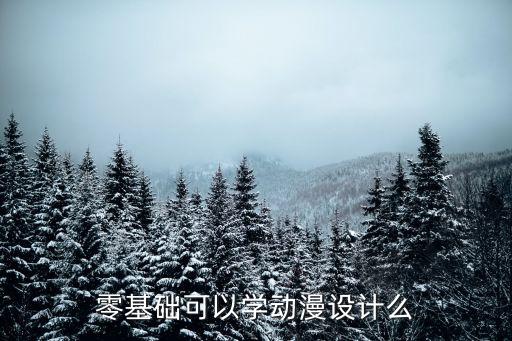 零基础可以学动漫设计么