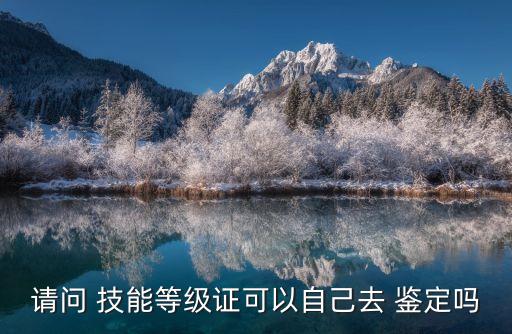 请问 技能等级证可以自己去 鉴定吗