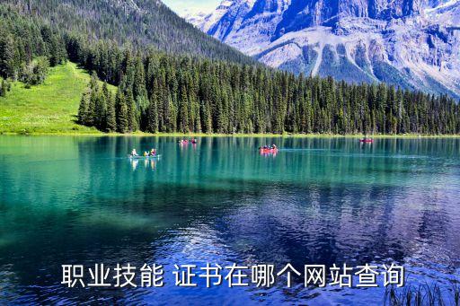  职业技能 证书在哪个网站查询