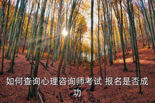 如何查询心理咨询师考试 报名是否成功