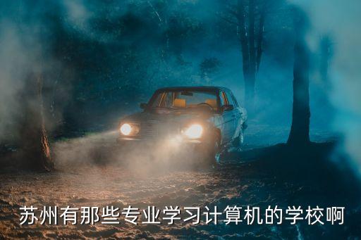  苏州有那些专业学习计算机的学校啊