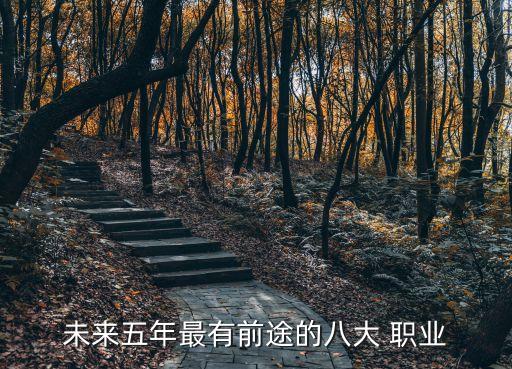 ﻿未来五年最有前途的八大 职业