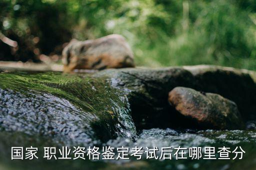 国家 职业资格鉴定考试后在哪里查分