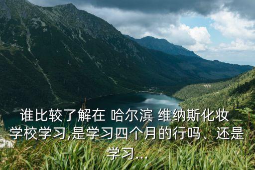 哈尔滨维纳斯职业技能学校