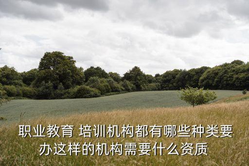  职业教育 培训机构都有哪些种类要办这样的机构需要什么资质
