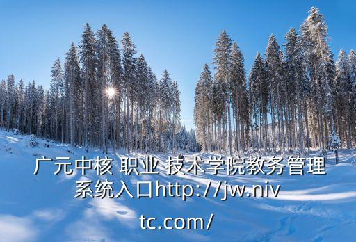  广元中核 职业 技术学院教务管理系统入口http://jw.nivtc.com/