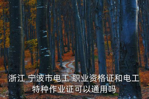 浙江 宁波市电工 职业资格证和电工特种作业证可以通用吗