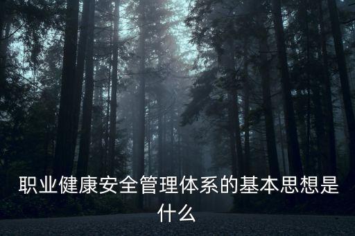  职业健康安全管理体系的基本思想是什么