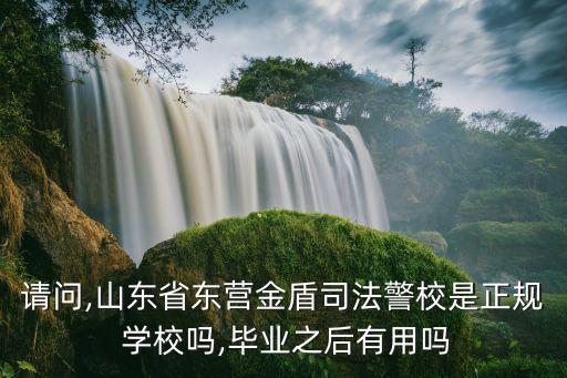 请问,山东省东营金盾司法警校是正规 学校吗,毕业之后有用吗