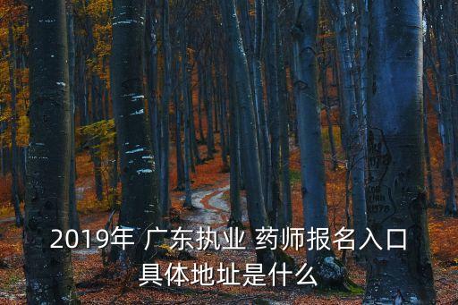 2019年 广东执业 药师报名入口具体地址是什么