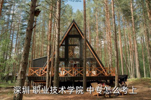 深圳 职业技术学院 中专怎么考上