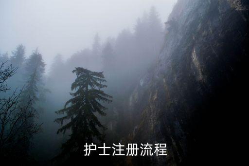 护士首次职业注册