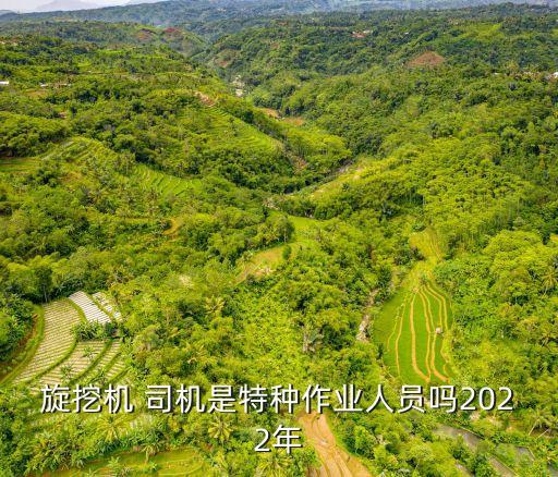 钻机司机 职业技能,老司机职业技能等级考试答案