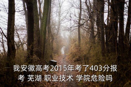芜湖职业技术学院2015录取分数