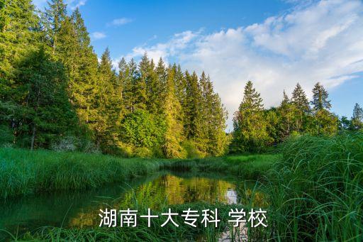  湖南十大专科 学校