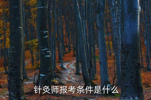 针灸师职业资格证考试,针灸资格证书怎么考