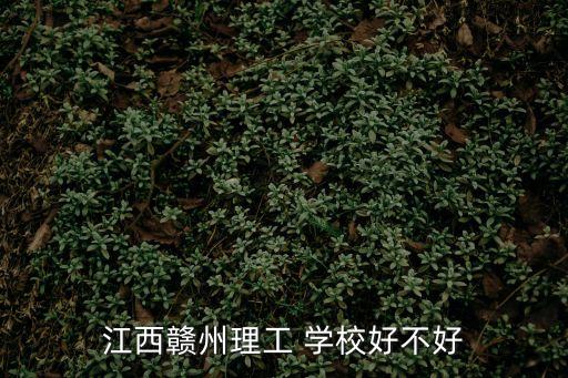 江西赣州理工 学校好不好