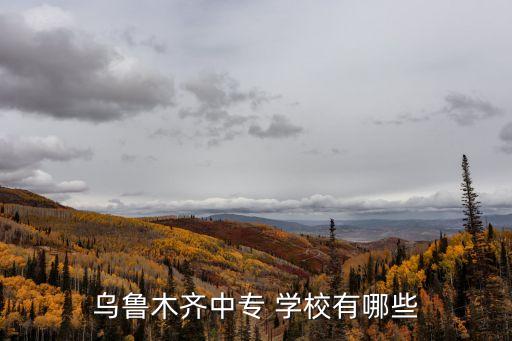 乌鲁木齐中专 学校有哪些