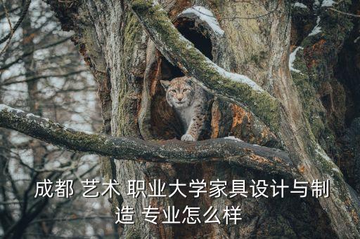 成都艺术职业学校专业