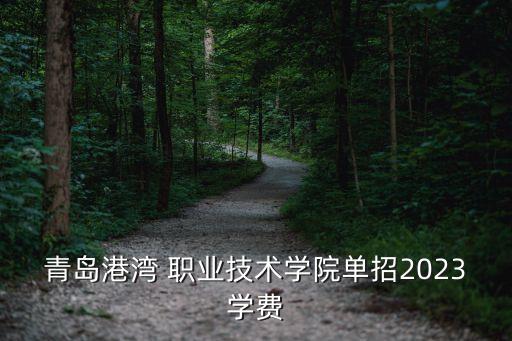 青岛港湾 职业技术学院单招2023学费