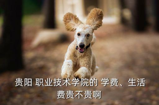  贵阳 职业技术学院的 学费、生活费贵不贵啊