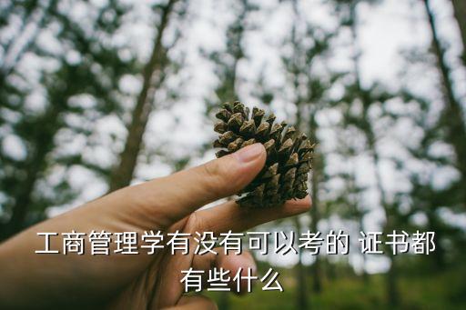  工商管理学有没有可以考的 证书都有些什么