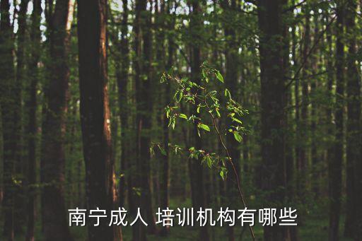 广西南宁有什么短期职业的培训