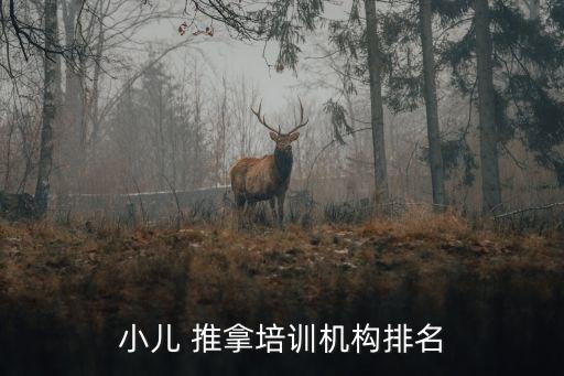 小儿 推拿培训机构排名