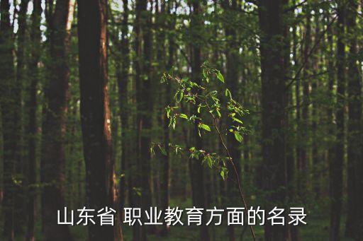山东省 职业教育方面的名录