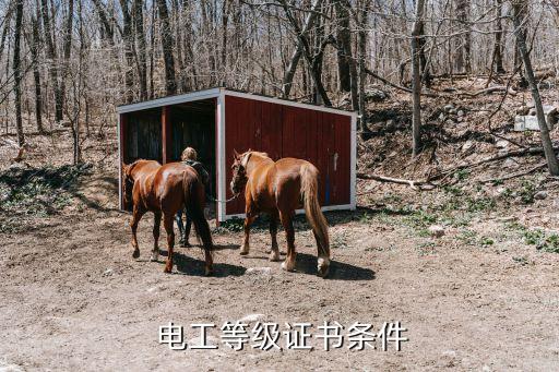 职业技能鉴定电工高级