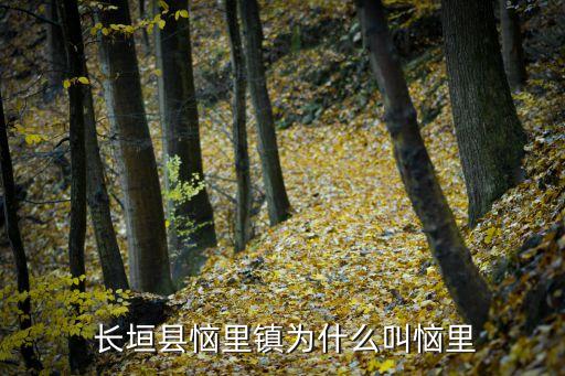  长垣县恼里镇为什么叫恼里