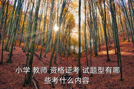  小学 教师 资格证考 试题型有哪些考什么内容