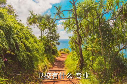 卫校有什么 专业