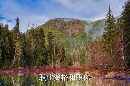 国家职业资格和职称
